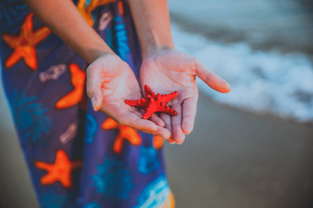 istock Starfish in woman hand on the beach 1176775494