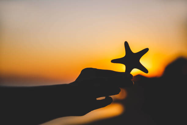 istock Woman hand holding Starfish over sunset 1176775539