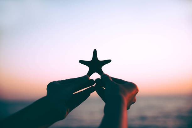 istock Woman hand holding starfish in sunset 1176775655
