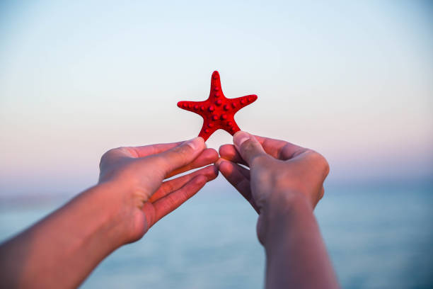 istock Woman hand holding starfish over sea 1176775673