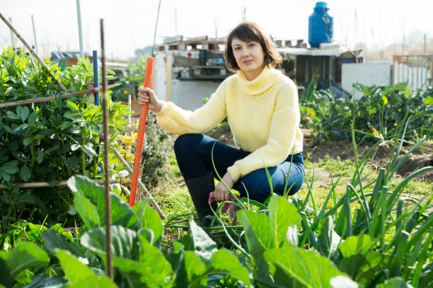 istock Woman working in garden 1176776450