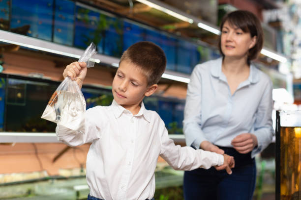 istock Boy with mother holding plastic bag with fish 1176776529