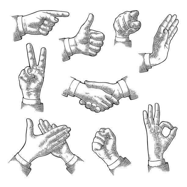 ilustraciones, imágenes clip art, dibujos animados e iconos de stock de señal de mano masculina. como, apretón de manos, ok, parar, dedo medio, victoria - grabado objeto fabricado
