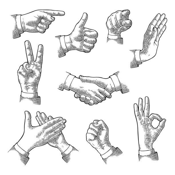 męski znak ręki. jak, uścisk dłoni, ok, stop, środkowy palec, zwycięstwo - hand sign obrazy stock illustrations