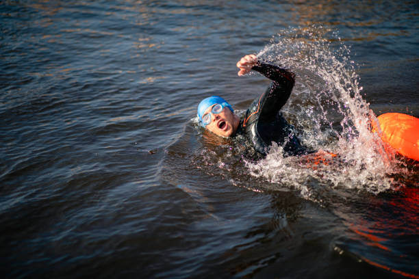 wildes schwimmen - breaststroke stock-fotos und bilder
