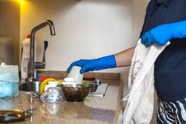 istock Hands in blue rubber gloves wipe dishes 1176779337