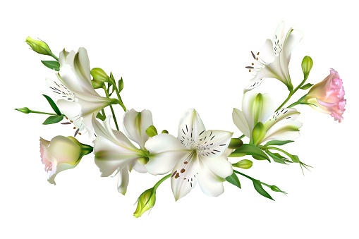 Ilustración de Flores Blancas Fondo Floral Hojas Verdes Eustoma Lirios y  más Vectores Libres de Derechos de Borde - iStock