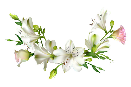 Ilustración de Flores Blancas Fondo Floral Hojas Verdes Eustoma Lirios y más Vectores Libres de Derechos de Borde - iStock Ilustración de Flores Blancas Fondo Floral Hojas Verdes Eustoma Lirios y más Vectores Libres de Derechos de Borde - iStock