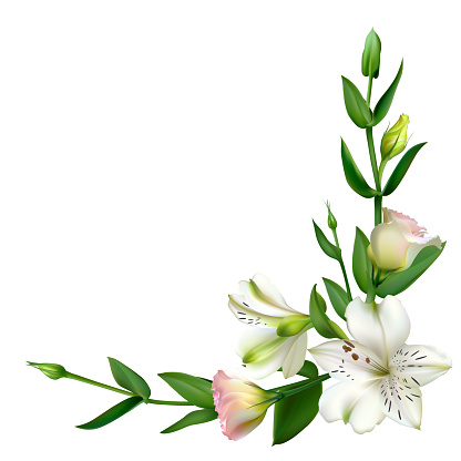 Ilustración de Flores Blancas Fondo Floral Hojas Verdes Eustoma Lirios y  más Vectores Libres de Derechos de Aniversario - iStock