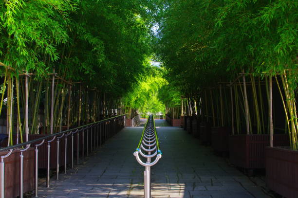 istock during the outing to Seoul 1176787873