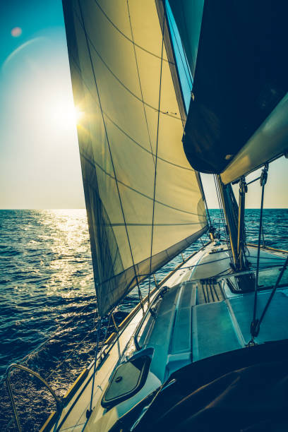 istock Sailing with sailboat at sunset 1176788058