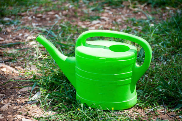 istock Gardening Watering can 1176788234