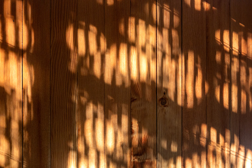 Morning sunlight streams through window and onto floor, creating atmospheric mood on wood floors with shadows and light, bokeh. Brown background.