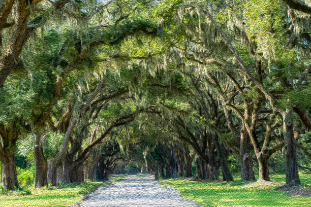 istock Stately oak trees with oil painting filter 1176791194