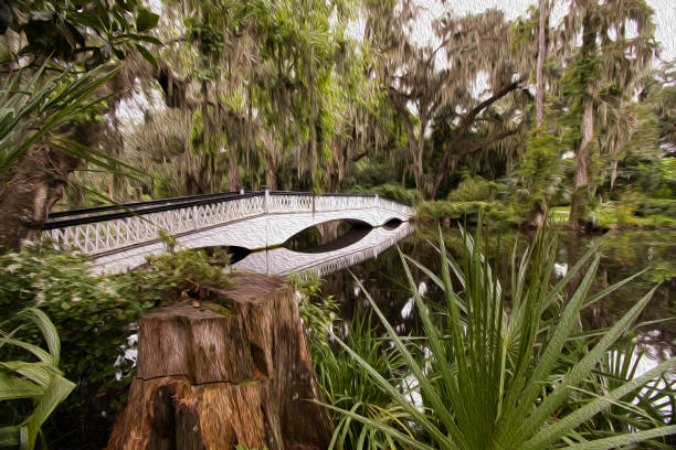 istock Beautiful white bridge over swamp with moss covered trees 1176791232