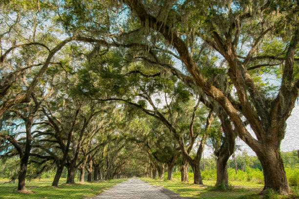 istock Stately oak trees with oil painting filter 1176791819