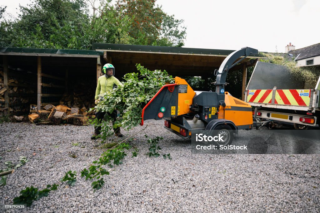 Tree Surgeons Machine Tree Surgeon Shredding Trees In Machine Stock Photo - Download Image ...