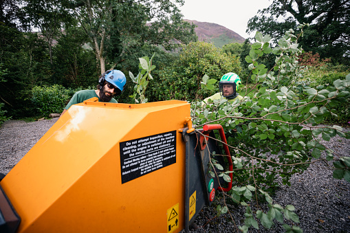 Two male colleagues shredding trees in machinery wearing helmets and protective eyewear