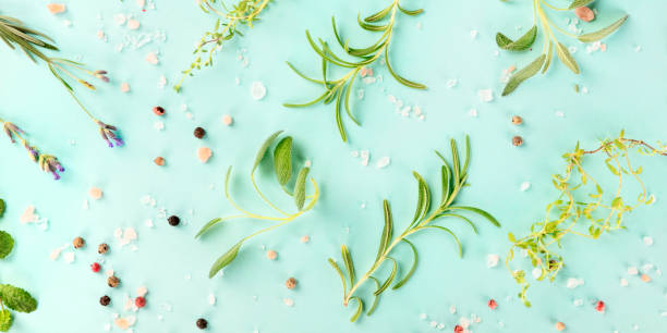 istock A panorama of culinary herbs and spices 1176793580