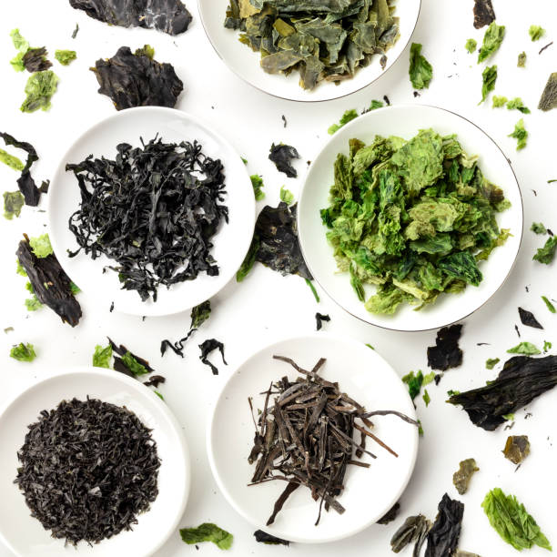 istock Dry seaweed, sea vegetables, overhead square shot 1176793932