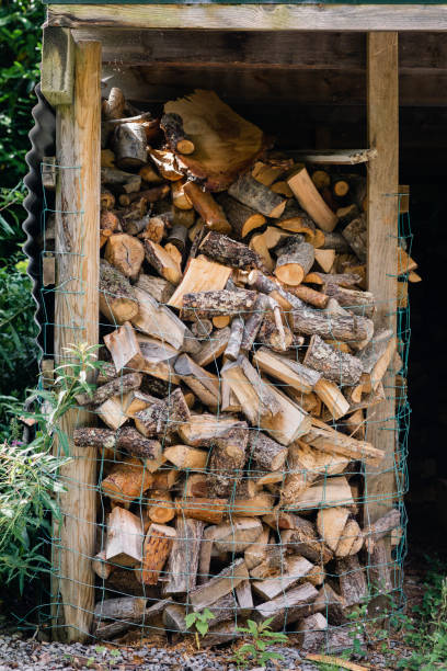 istock Log store filled with freshly cut logs 1176798755