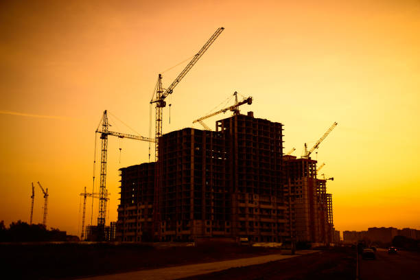 istock Crane silhouettes at yellow sky sunset 1176800746