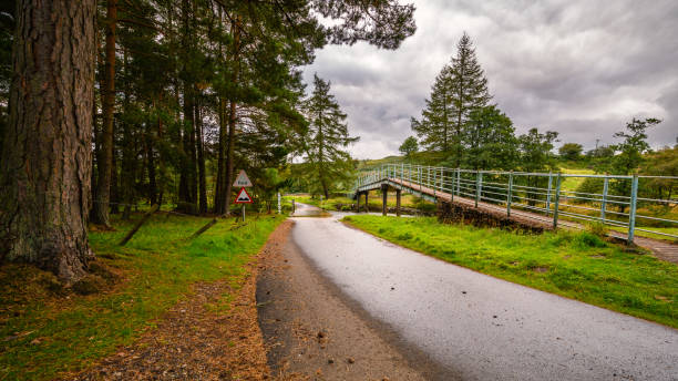 istock Ford and Footbridge on River East Allen 1176801411