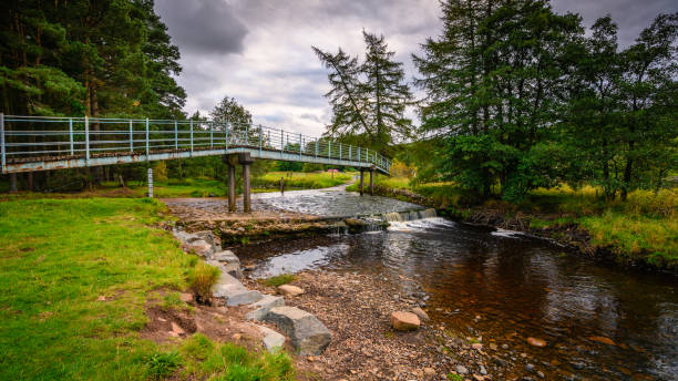 rzeka east allen ford i kładka - stream day eastern usa falling water zdjęcia i obrazy z banku zdjęć