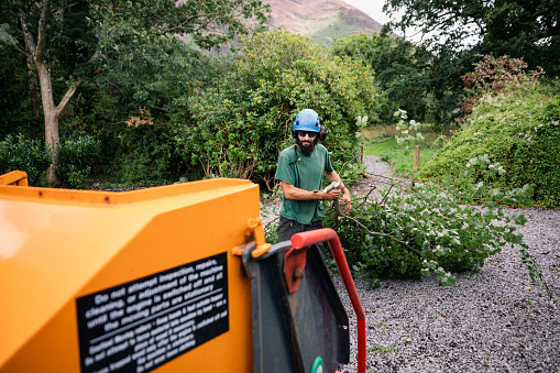 Man wearing protective workwear holding branch and looking at shredding machine in rural setting