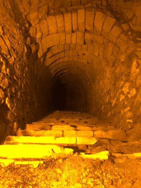 champagne caves - aging process french culture winemaking next to imagens e fotografias de stock