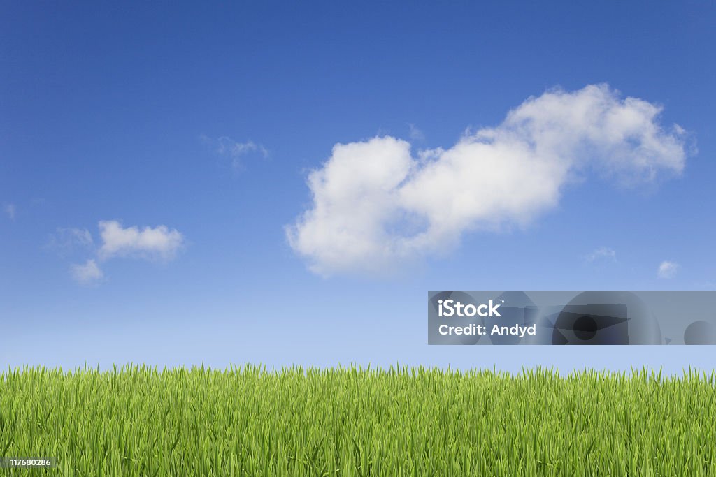 Campo de primavera - Foto de stock de Aire libre libre de derechos