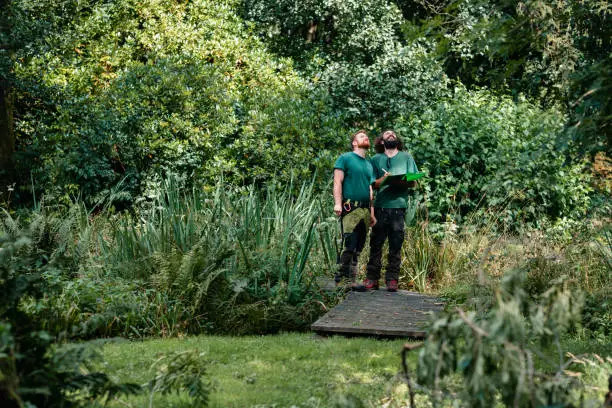 Gardening colleagues planning work in overgrown garden with clipboard