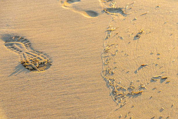 istock Footprints in the sand and mico plastic beads at the water's edge, Agadir, Morocco 1176806245