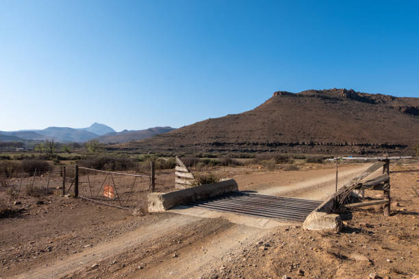 istock Gate and cattle grid in the Karoo, South Africa 1176809023
