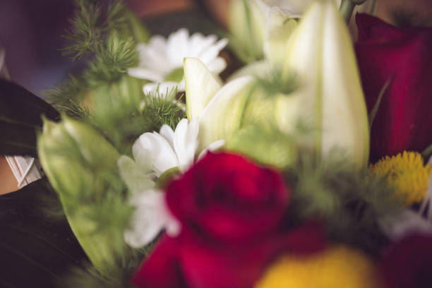Bunch of colorful flowers
