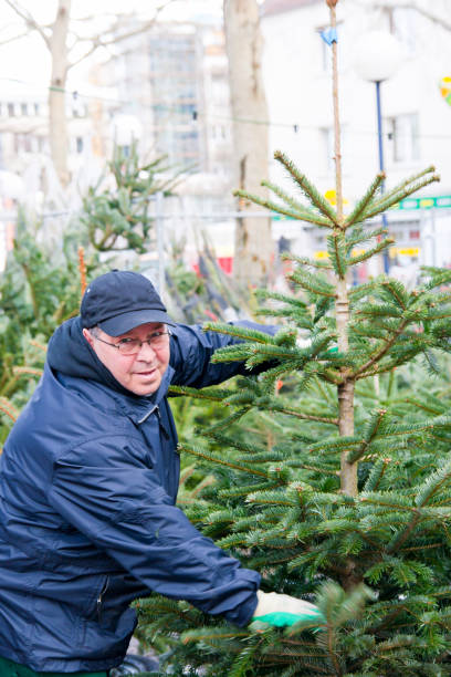 istock Christmas tree salesman offering beautiful trees 1176812423