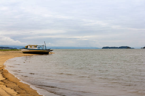 istock Abandoned wooden boat 1176813450