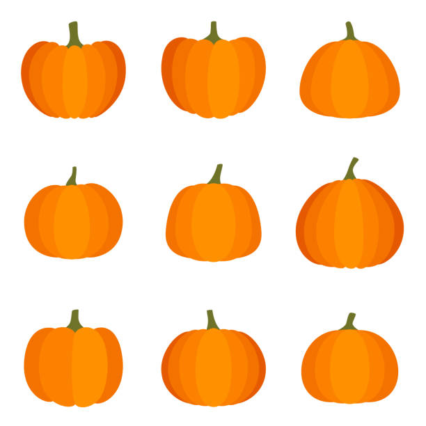 ilustraciones, imágenes clip art, dibujos animados e iconos de stock de conjunto de calabaza halloween sobre fondo blanco, ilustración vectorial - calabaza gigante ilustraciones