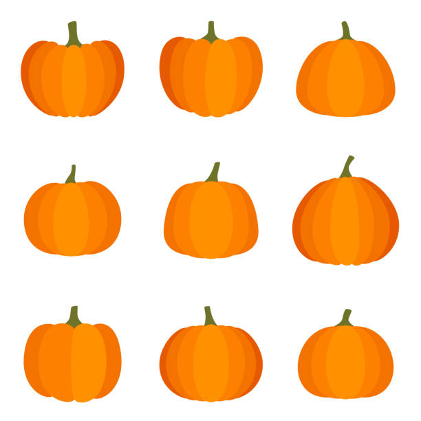 흰색 배경에 할로윈 호박의 세트, 벡터 일러스트레이션 - pumpkins stock illustrations