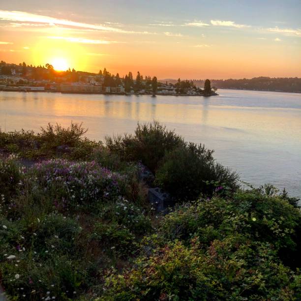 istock Sunrise over peninsula and water 1176815207