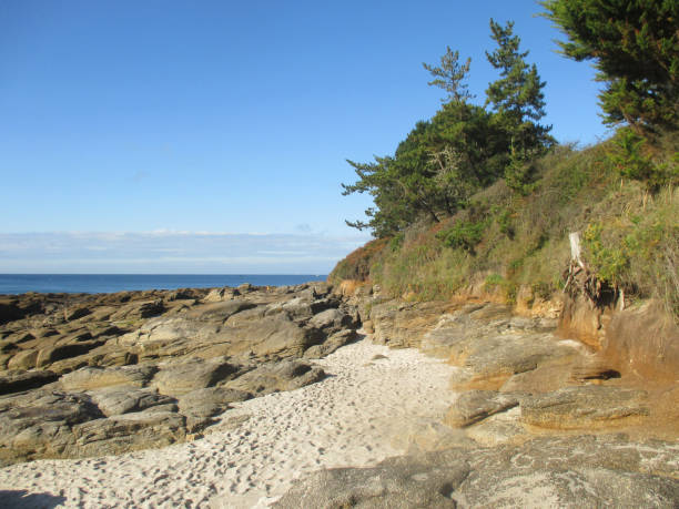 istock Coastline  Low tide  Rocky coast  Beach  Holiday resort 1176815646