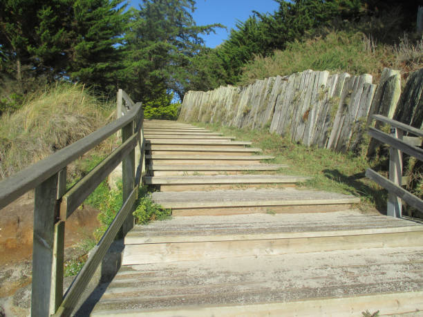 istock Wooden stairs  Beach  Bretagne 1176815752