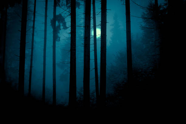 istock Full moon through the spruce trees in magic mystery night forest. Halloween backdrop. 1176818976