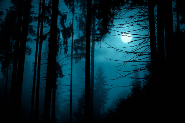 istock Full moon through the spruce trees in magic mystery night forest. Halloween backdrop. 1176819000