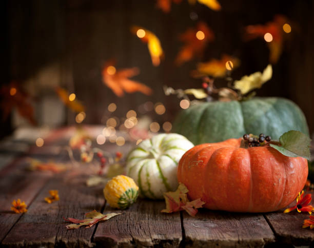 istock Autumn Pumpkin Background on Wood 1176819115