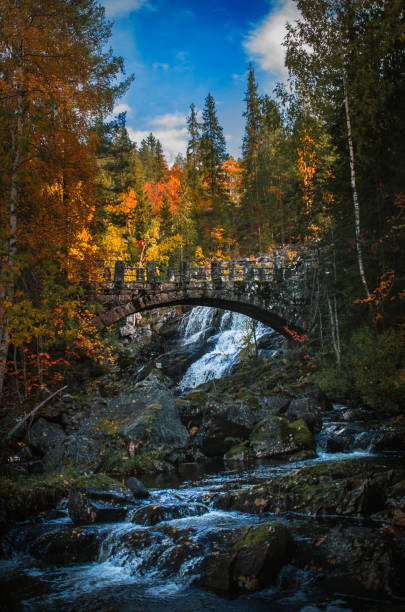 istock Atumn bridge in the forest 1176823622