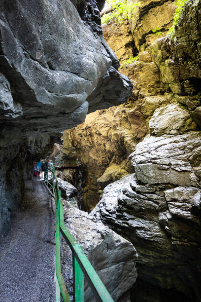 istock Breitachklamm gorge in the Allgaeu Alps, Bavaria, Germany 1176825645