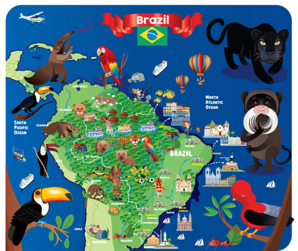 kreskówkowa mapa brazylii - natal stock illustrations