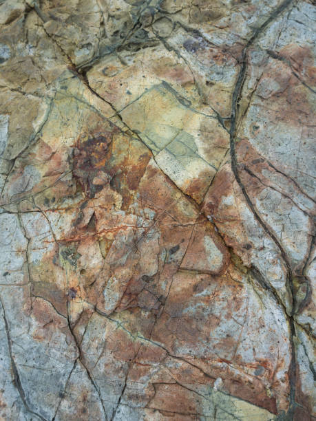 istock Close up of a sea rock texture 1176830256