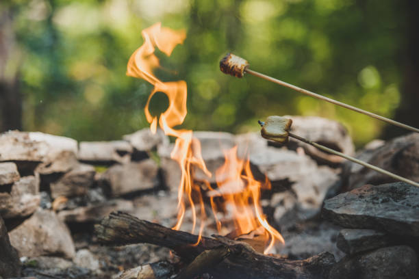 asando malvaviscos sobre una fogata. - fire pit fire camping burning fotografías e imágenes de stock